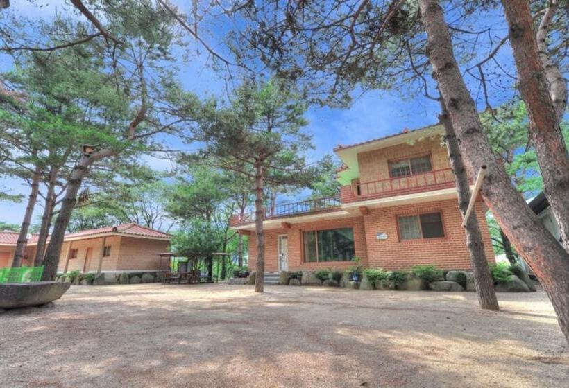 Inje Solbathwangto Pension