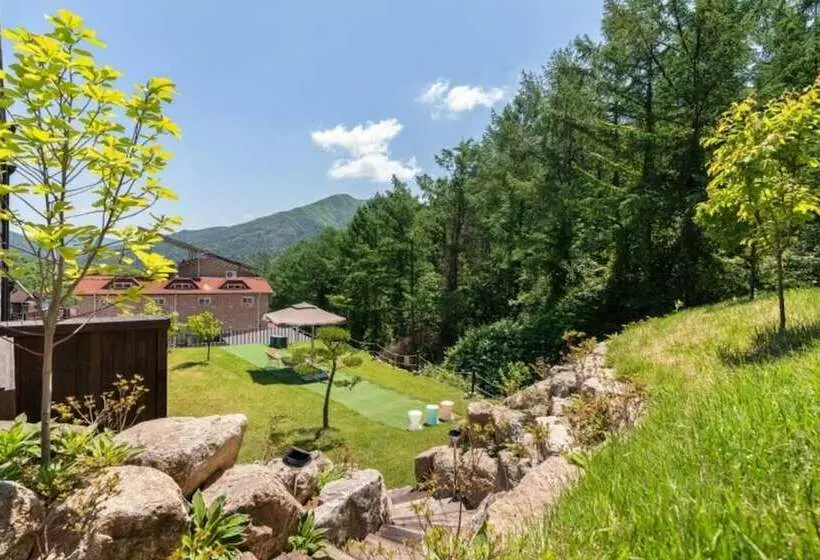 ペンション Gapyeong Adiel Pool Villa