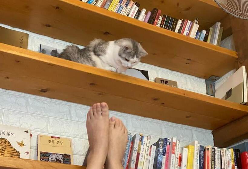 Pensió Gyeongju Shilla Moon Night Hanok Stay