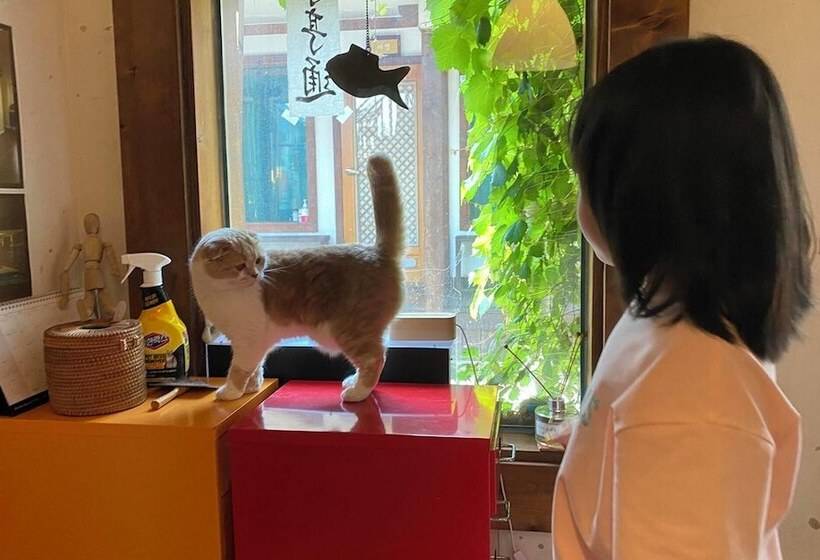 Pensió Gyeongju Shilla Moon Night Hanok Stay