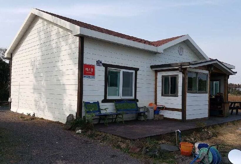 ペンション Jeju Beyond Guest House And Book Cafe