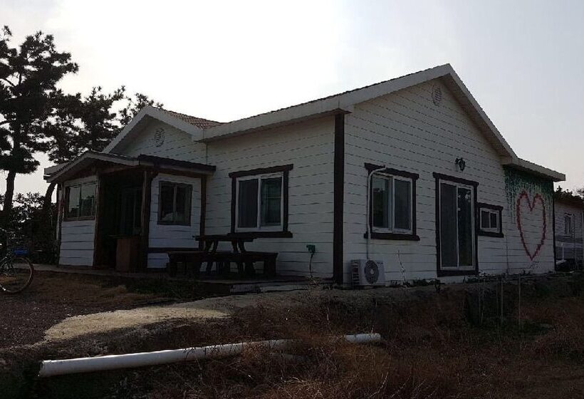 ペンション Jeju Beyond Guest House And Book Cafe