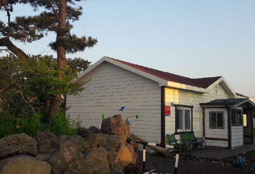 ペンション Jeju Beyond Guest House And Book Cafe