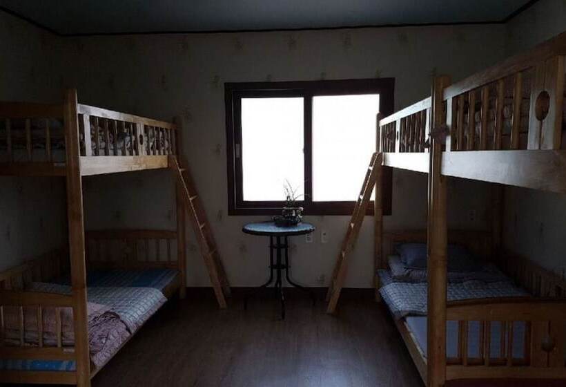 ペンション Jeju Beyond Guest House And Book Cafe