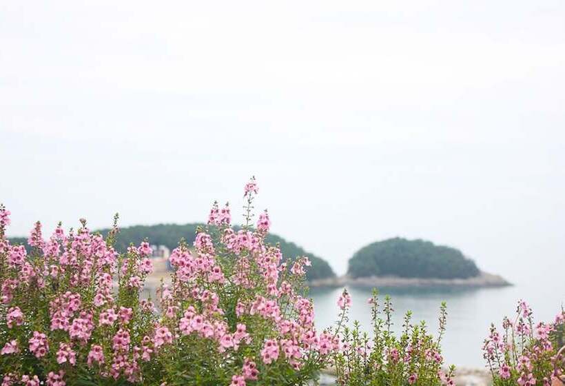 Pensione Namhae Guest House Mi