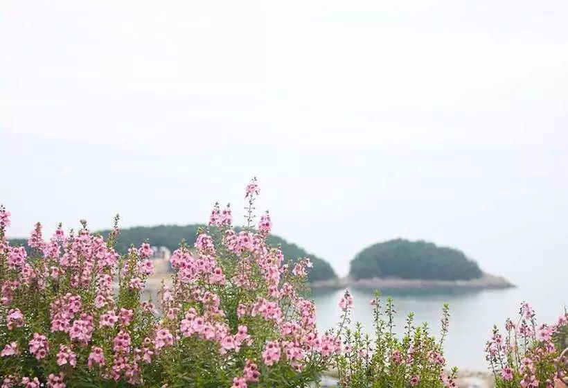 ペンション Namhae Guest House Mi
