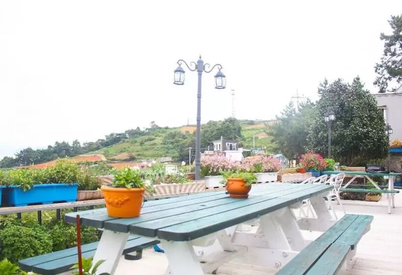 ペンション Namhae Guest House Mi