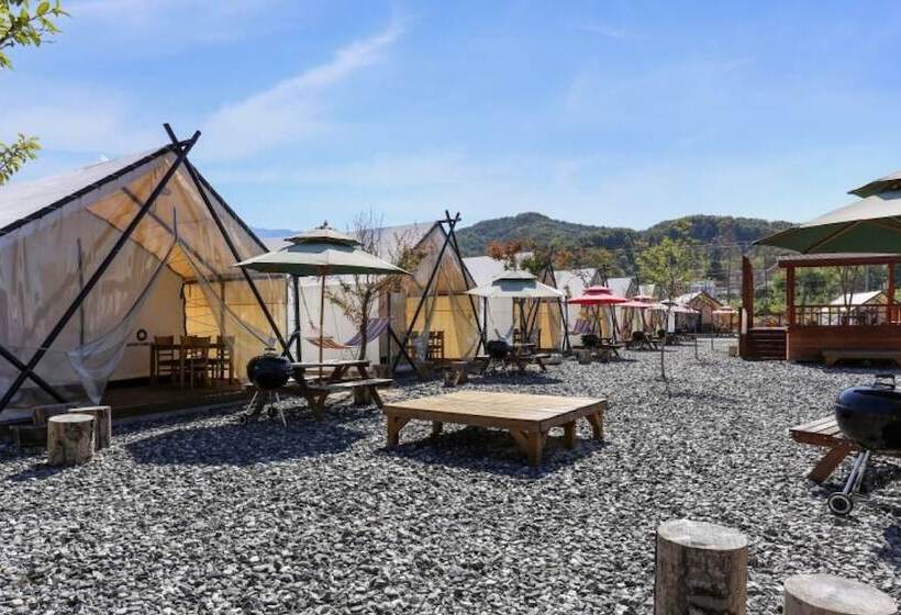 פנסיון Pocheon Moonlight Dog Glamping Site