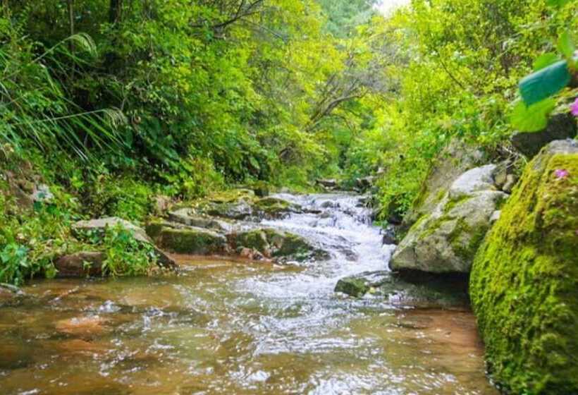 Pyeongchang Dolbaenamu Segeuru Pension