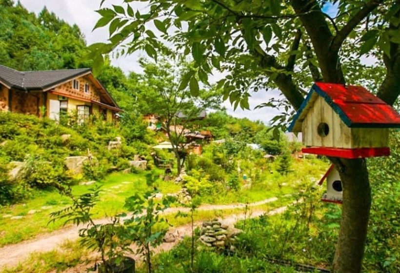 Pyeongchang Dolbaenamu Segeuru Pension