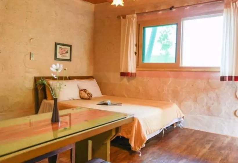 Pyeongchang Dolbaenamu Segeuru Pension