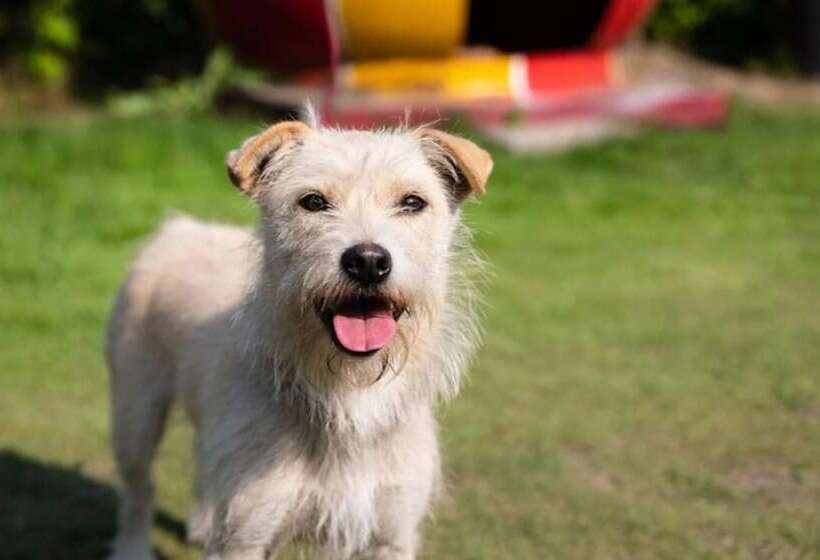 Sunchang Gangcheonsan Pension