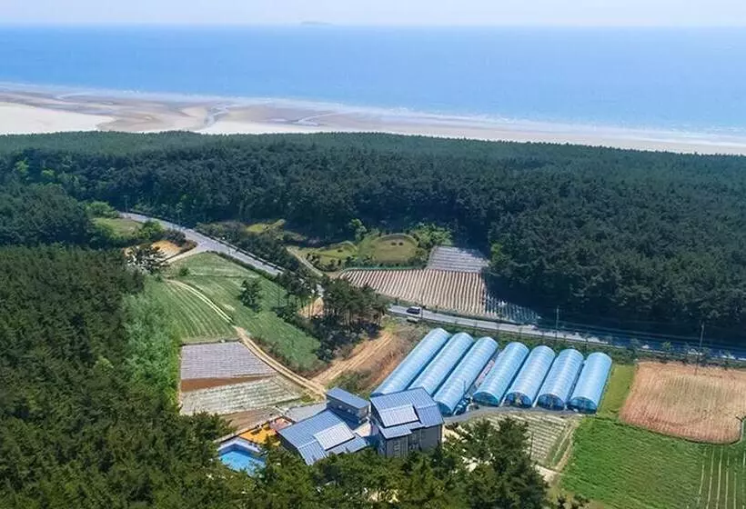 Taean Largo Pension