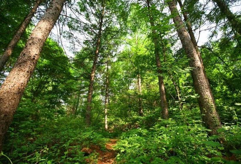 Yanggu Bauyasaenghwar Pension