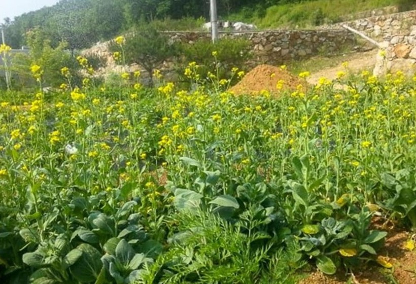 Yangju Jangheung Healing Pension