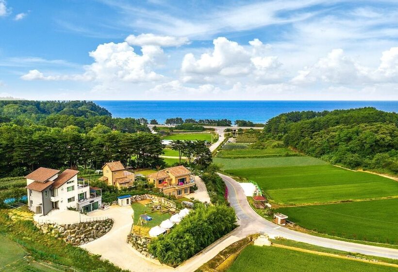 Yangyang Slowstay Pension