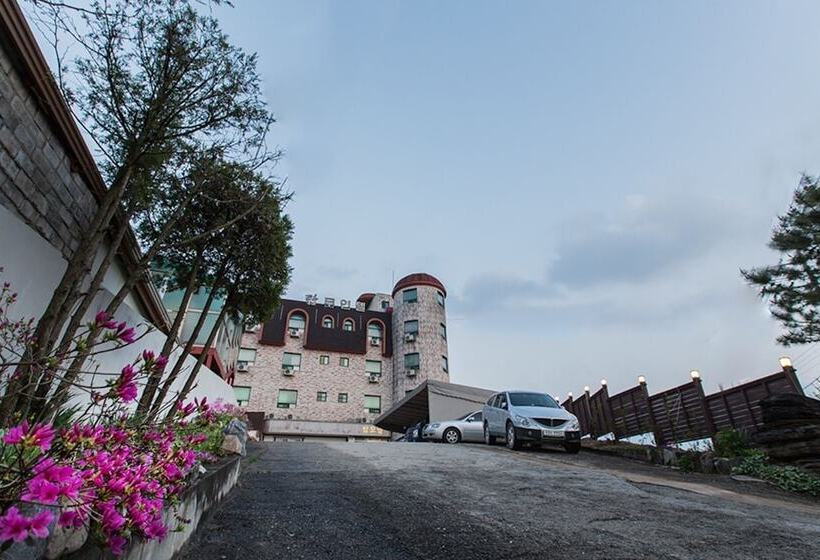 Goesan Top Self Check In Motel