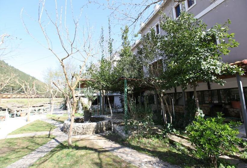 ペンション The River