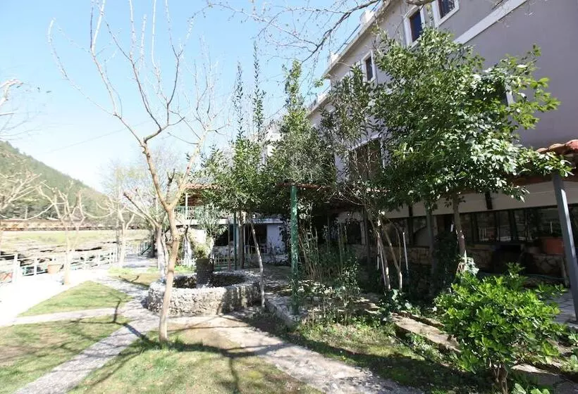 پانسیون The River
