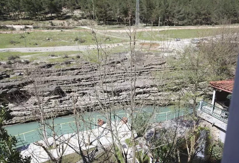 پانسیون The River