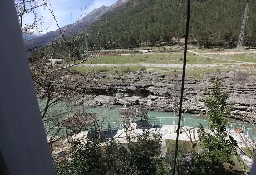 پانسیون The River