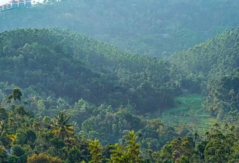 Majatalo Treebo Wanderlust Residency With Mountain View