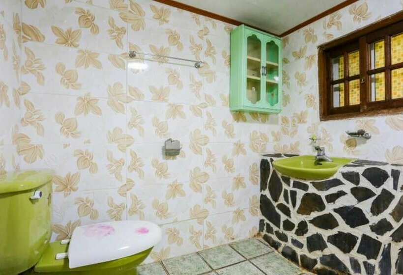 Pensiune Yangpyeong Yangshui Renovation Tile