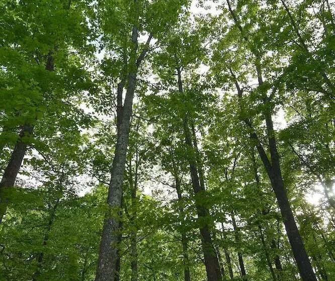 Ahh ... Riverwood
