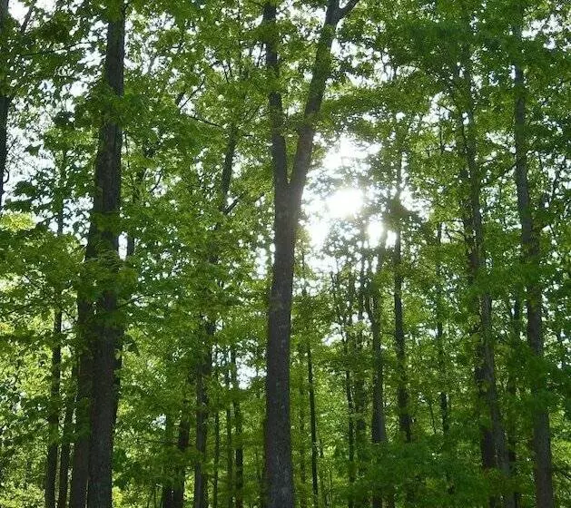 Ahh ... Riverwood