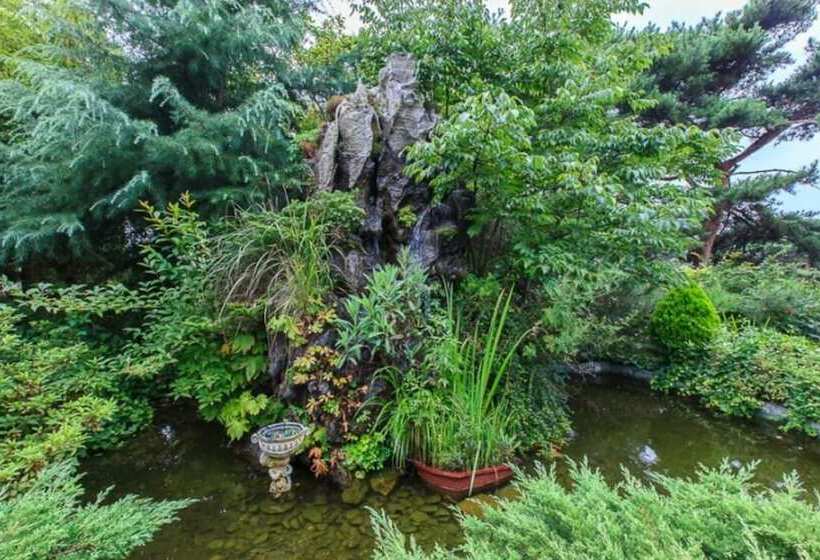 Taean Pine Wealth Pension