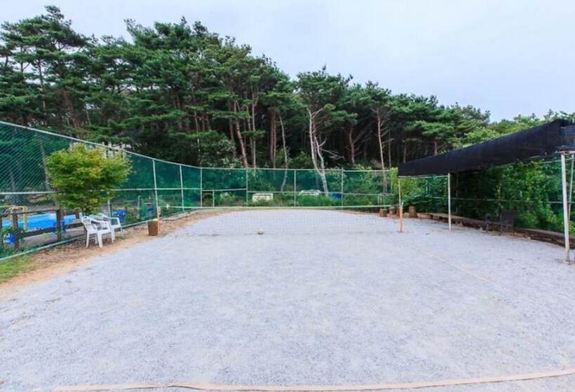 Taean Pine Wealth Pension