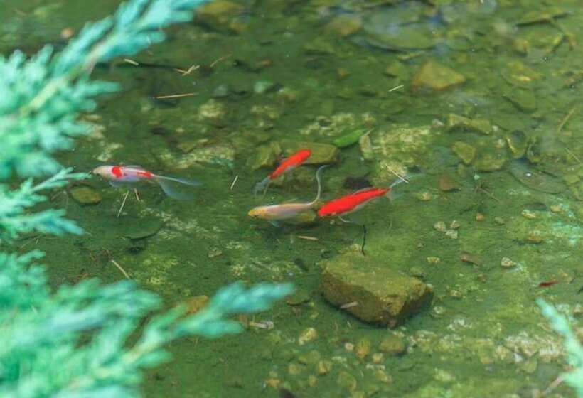 Taean Pine Wealth Pension