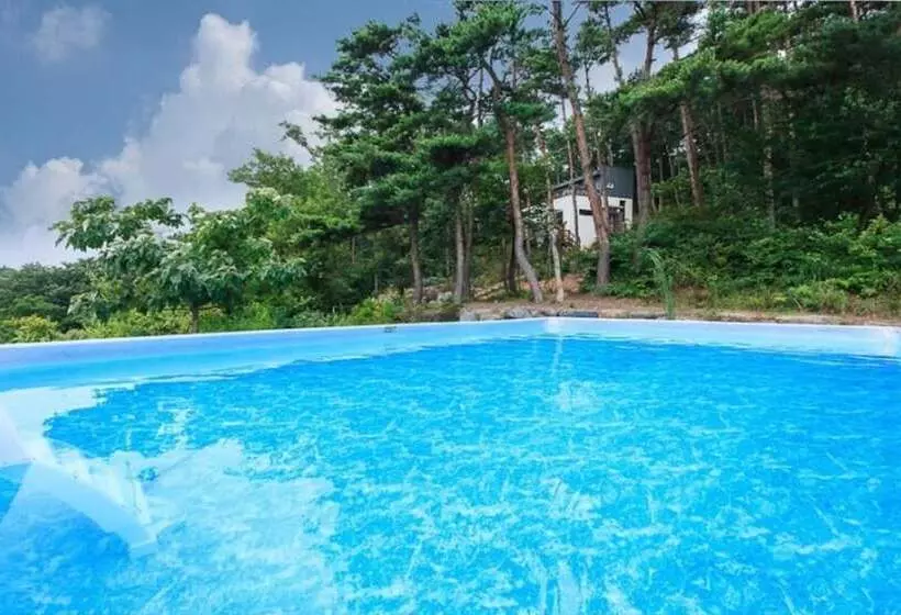 Taean Pine Wealth Pension