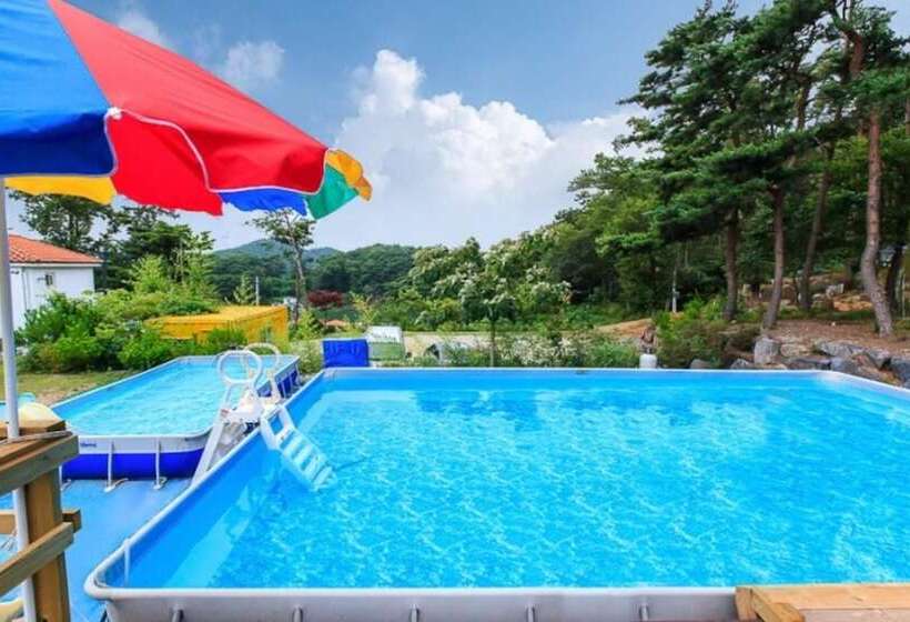 Taean Pine Wealth Pension