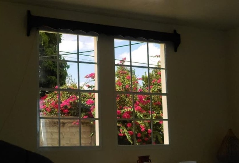 Hostal San Jose Hostel