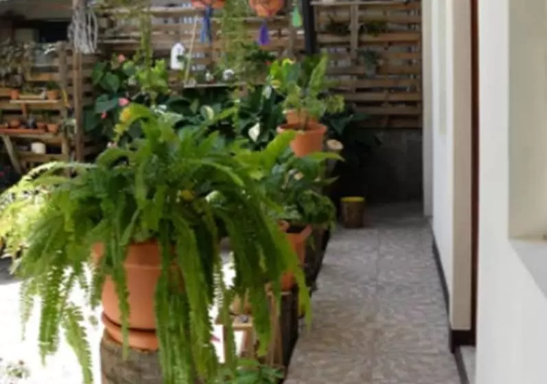 Hostal San Jose   Hostel