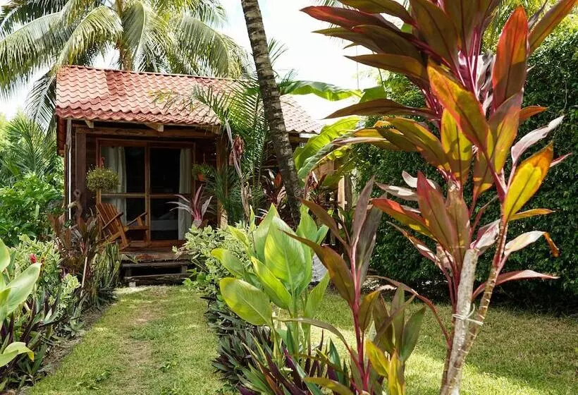 Hotelli Cofradia Del Pirata