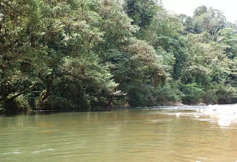 ホテル Hosteria Eco Lodge Latorre