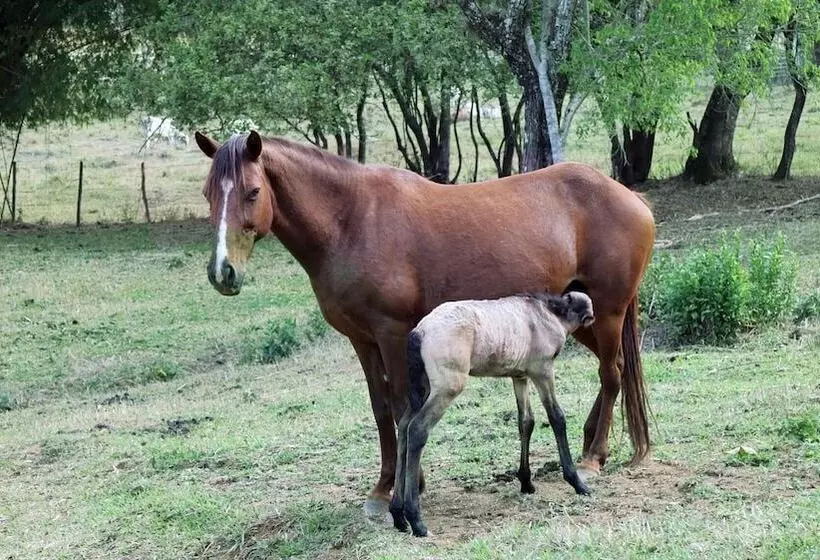 Hotelli Pousada Spa São Sebastião