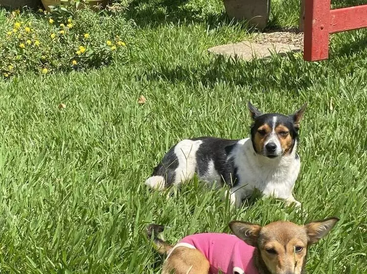 Hotelli Pousada Spa São Sebastião