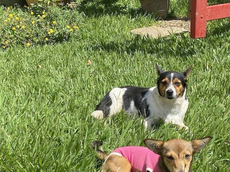 Hotel Pousada Spa São Sebastião