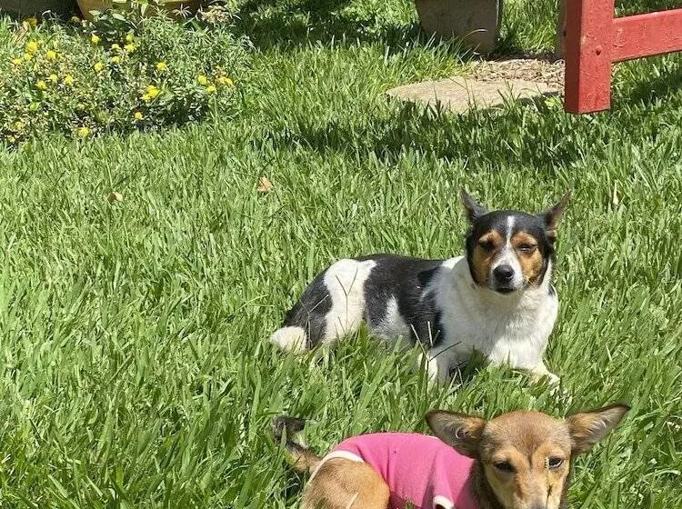 Hotelli Pousada Spa São Sebastião