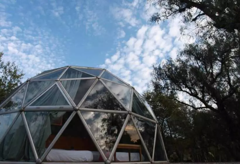 ホテル Raices Glamping