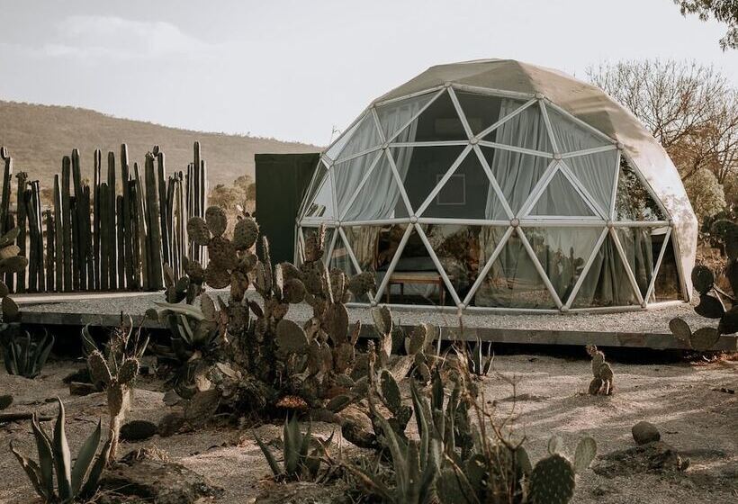 호텔 Raices Glamping