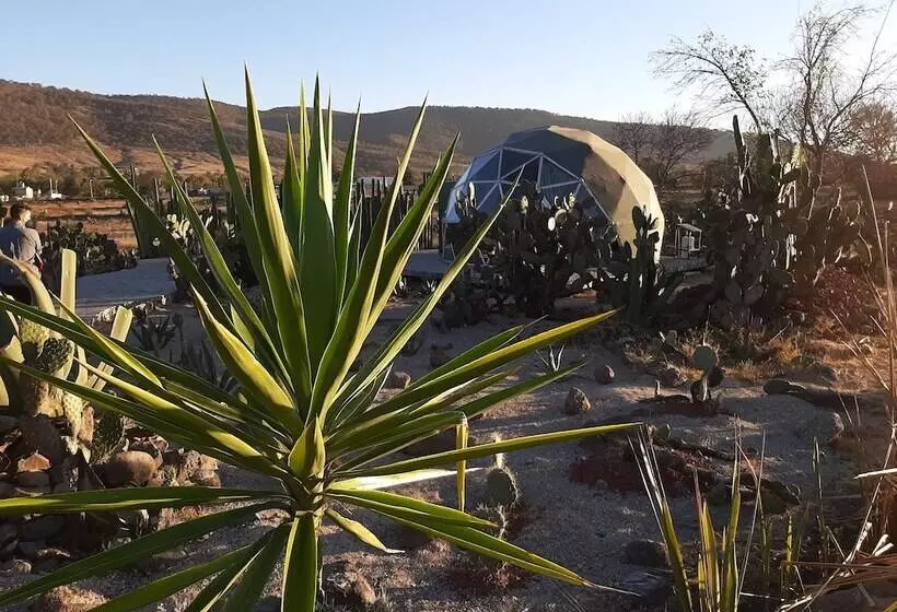 ホテル Raices Glamping