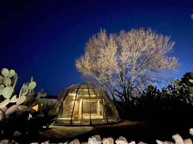 호텔 Raices Glamping