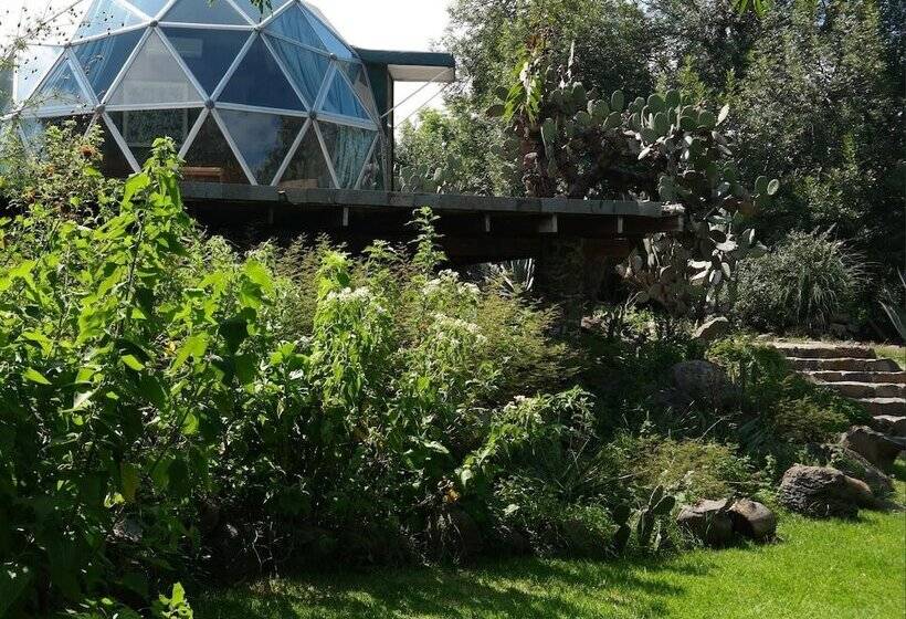 호텔 Raices Glamping