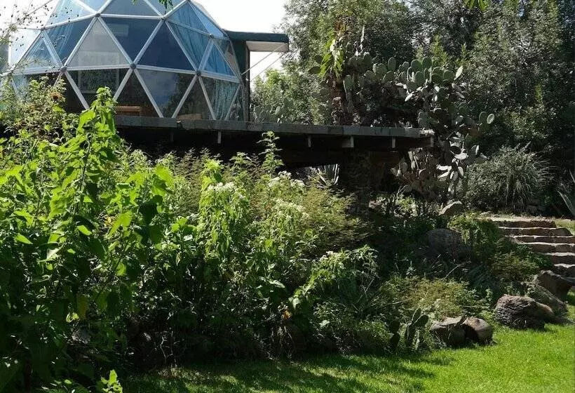 ホテル Raices Glamping