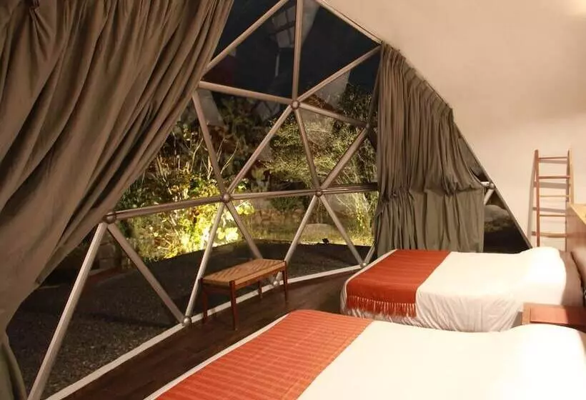 ホテル Raices Glamping