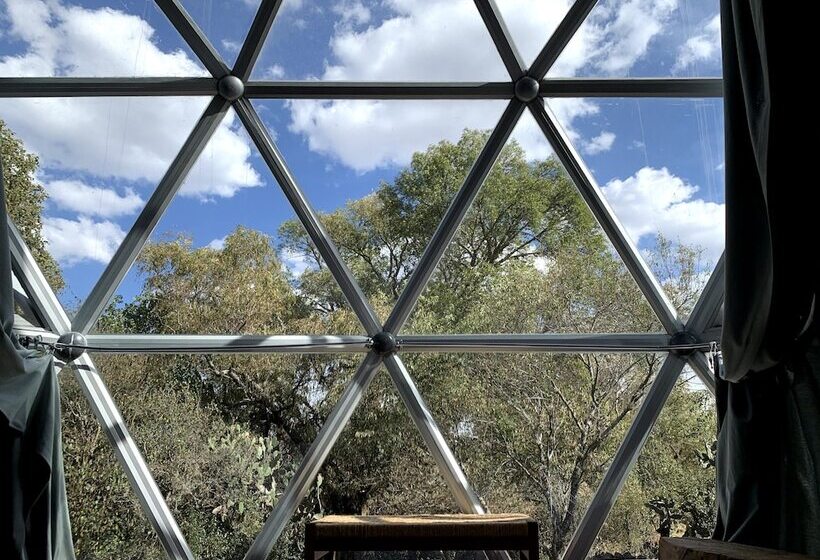 호텔 Raices Glamping